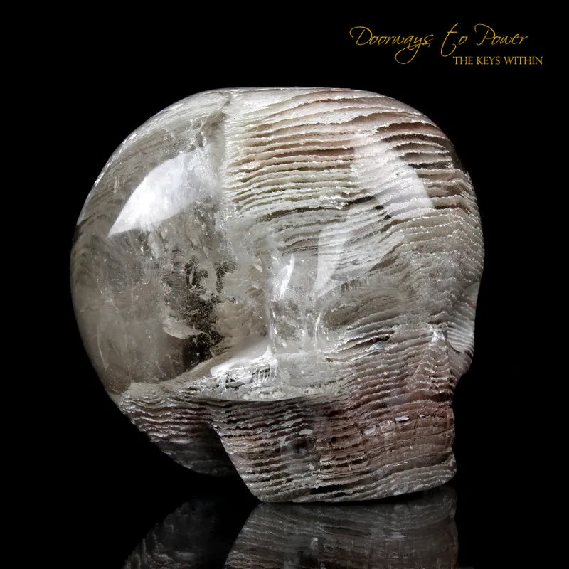 Chlorite in Quartz Magical Child Crystal Skull 'Through the Sands of Time'