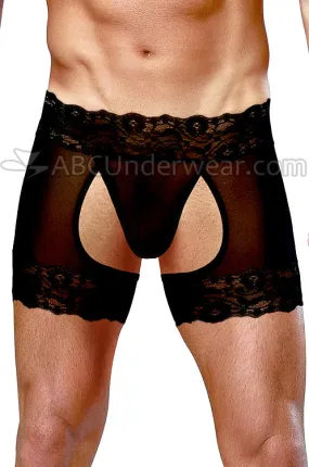 Mens Lace Sheer Sock Garter Trunk Underwear - Closeout